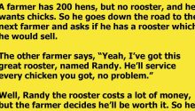 Farmer Gets A New Rooster, And The Rooster is More Than He Bargained For