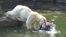 A 32-year-old woman was attacked by a polar bear after she jumped into their enclosure at the Berlin Zoo