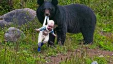 Bear Refuses To Let Baby Go: Ranger Bursts Into Tears When He Discovers Why