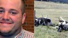 Farmer And 16 Cows Found Dead, Cause Of Death Finally Discovered