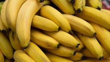 Read These 10 Startling Facts If You Love Bananas