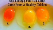 Tips for Choosing Quality Eggs